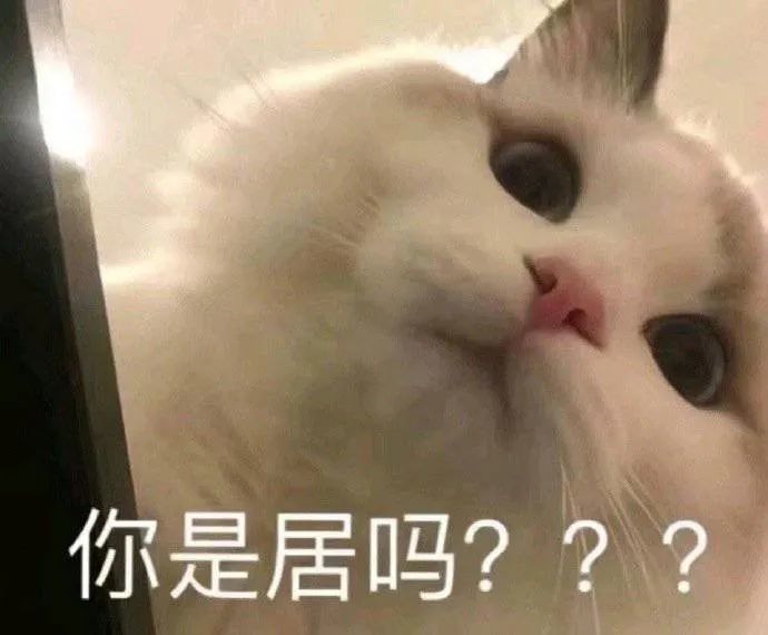 矮乐多表情包，萌趣与情感的完美结合