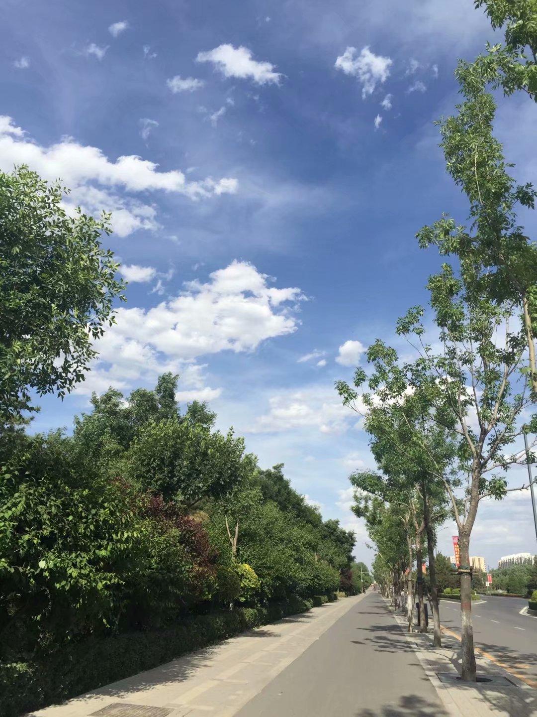 功率骑行台拆解，深入了解骑行台内部结构和工作原理