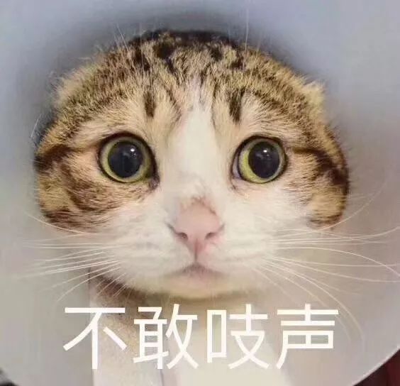 不笑猫表情包，网络时代的独特符号