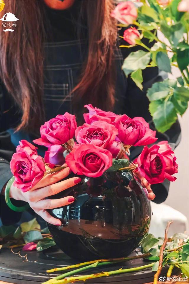 长春花容易种的品种